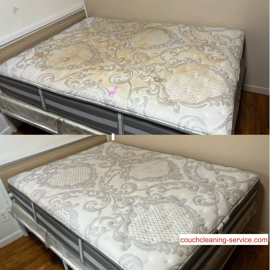 mattress cleaning service hollywood fl